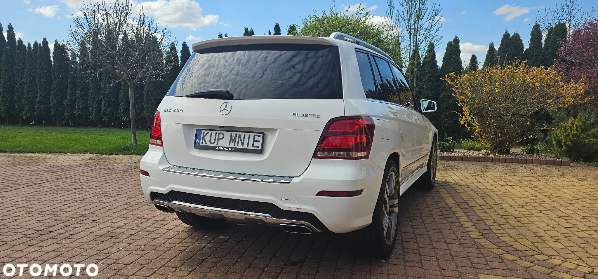 Mercedes-Benz GLK 250 CDI BlueTEC 4-Matic - 18