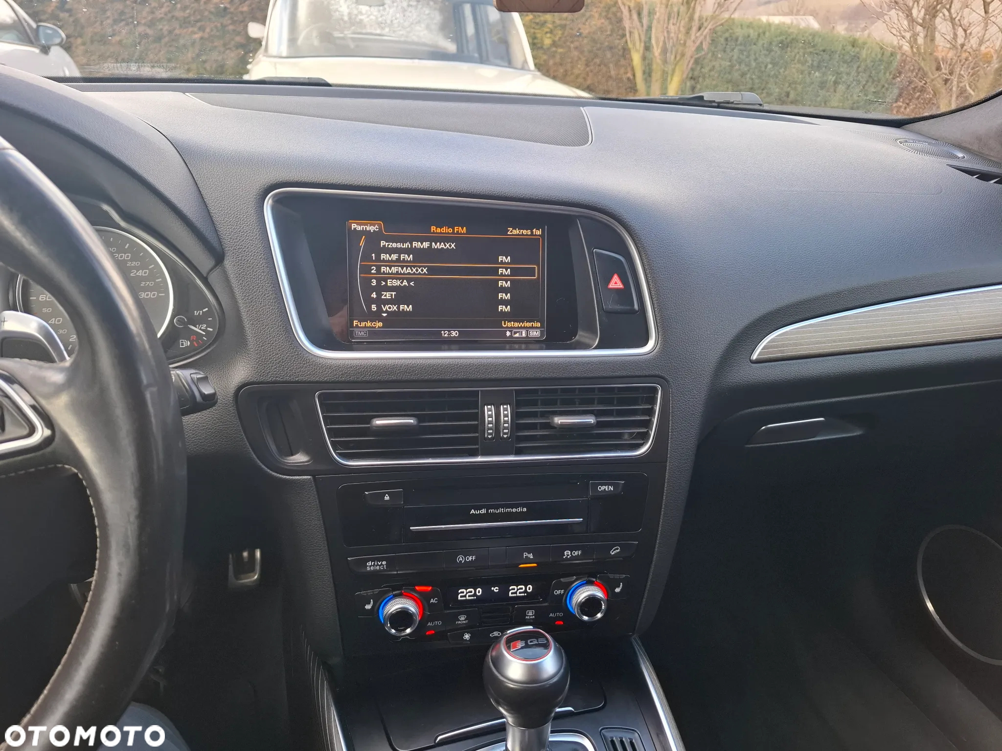 Audi SQ5 3.0 TDI Quattro Tiptronic EU6 - 24