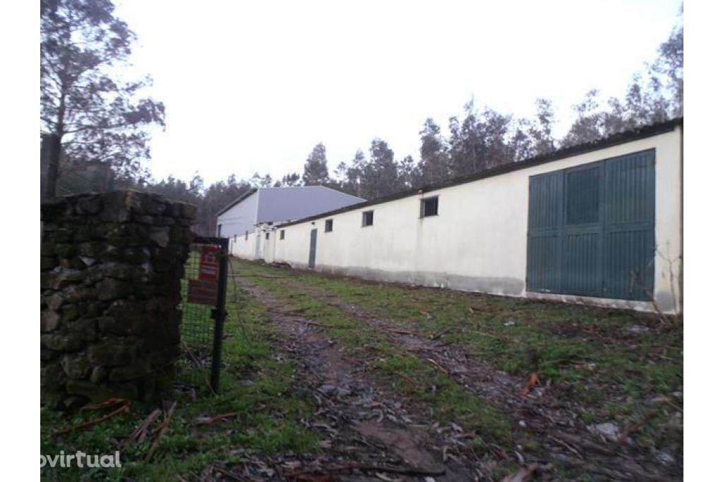 Armazém Ponte de Lima . Anais . A3 - investimento - Grande imagem: 3/5