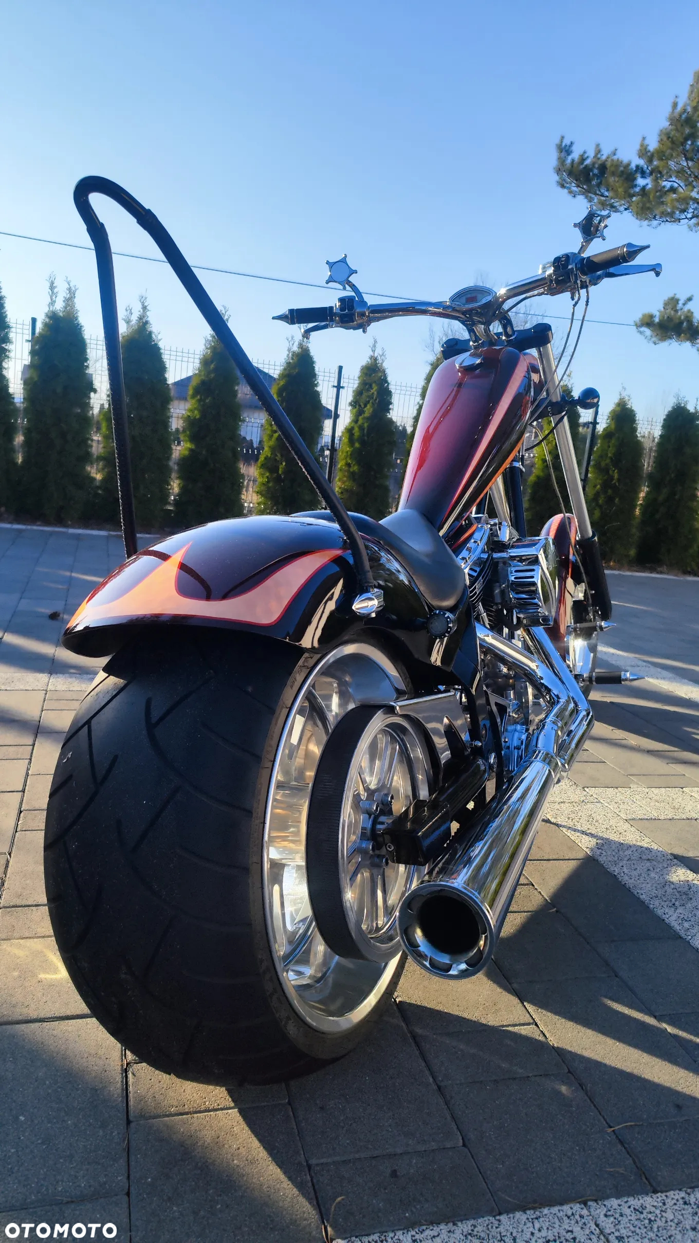 Harley-Davidson Softail - 6