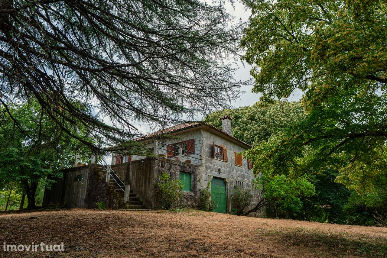 Quinta com 5,5 ha e Projecto Aprovado p/Hotel Rural 4 Estrelas - Viseu - Grande imagem: 3/21