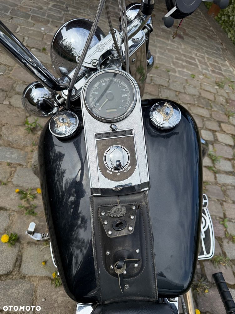 Harley-Davidson Softail - 9