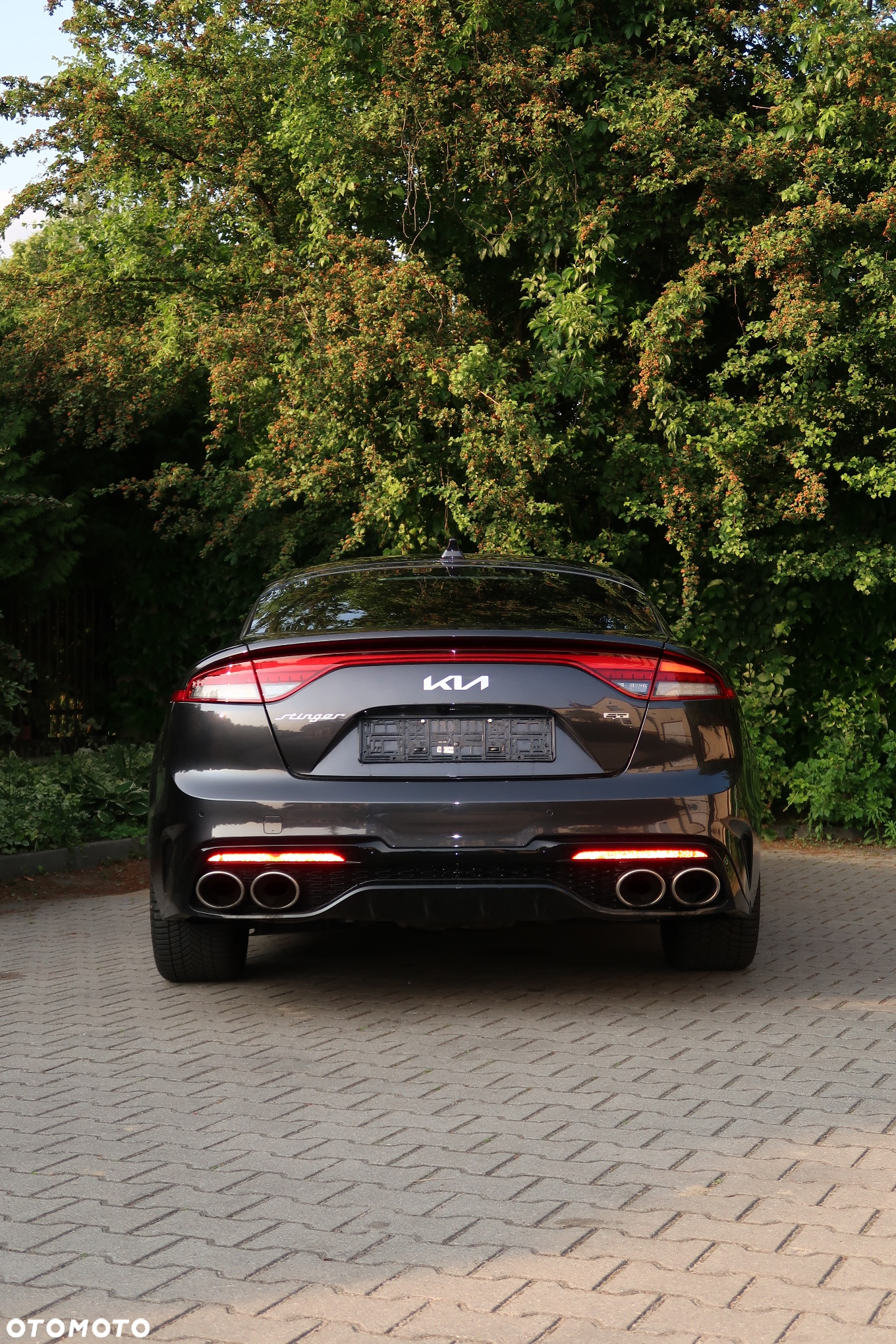 Kia Stinger - 5