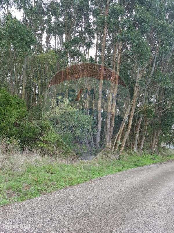 Terreno  para venda - Grande imagem: 5/6