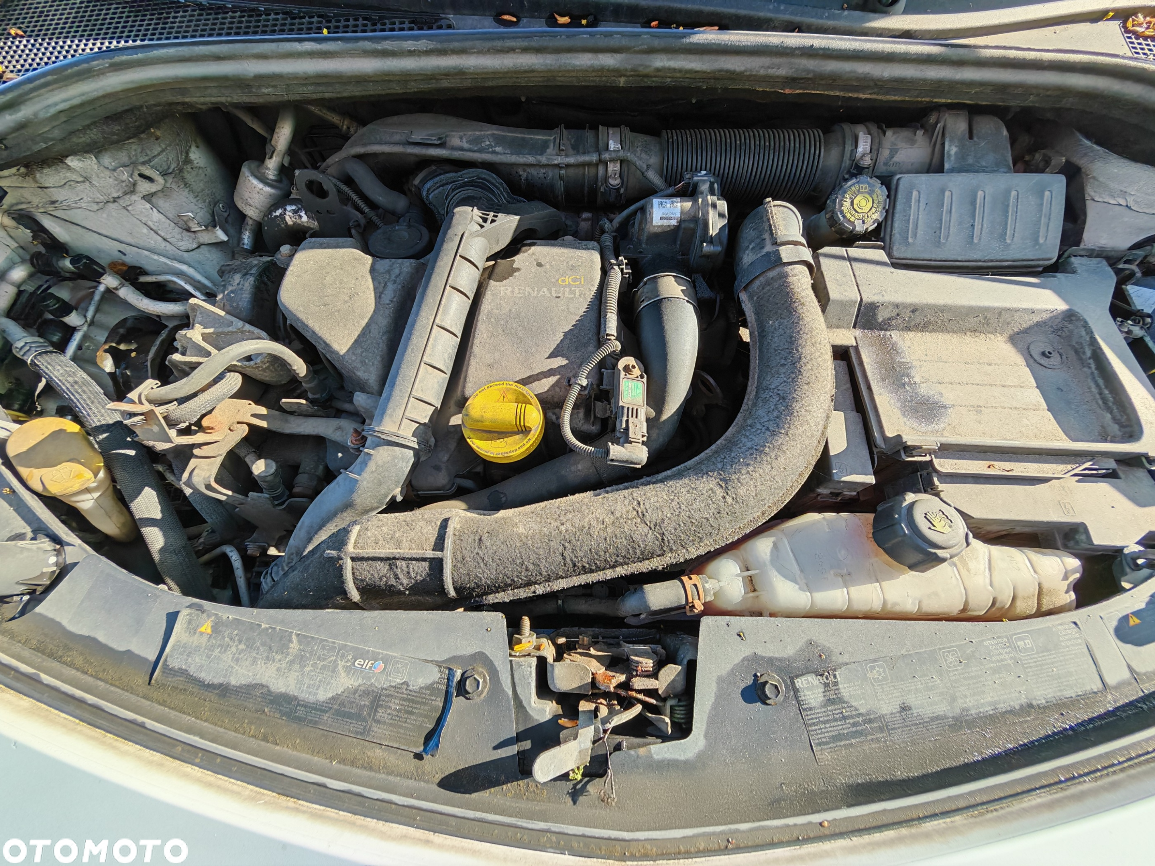 Renault Clio - 14