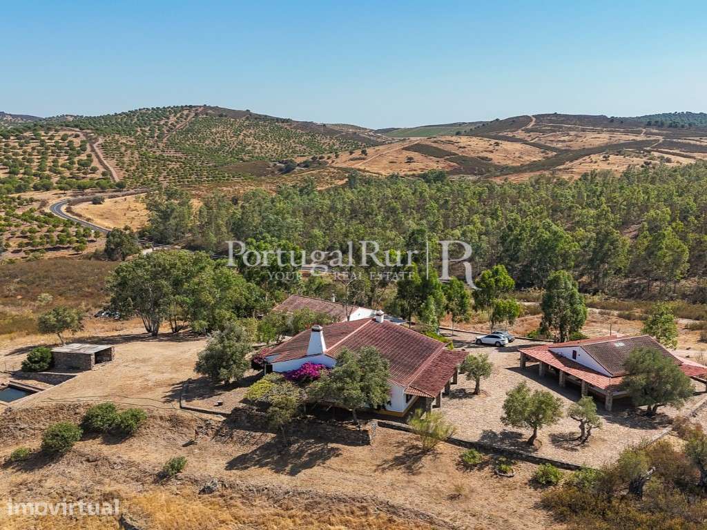 Propriedade com 9,3 ha e 3 casas no P. N. do Vale do Guadiana - Grande imagem: 2/60