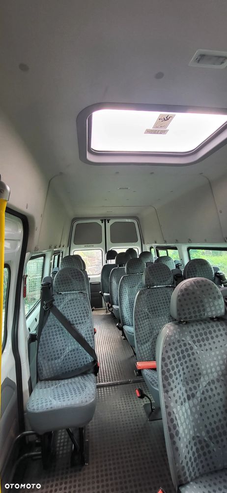 Ford TRANSIT - 7