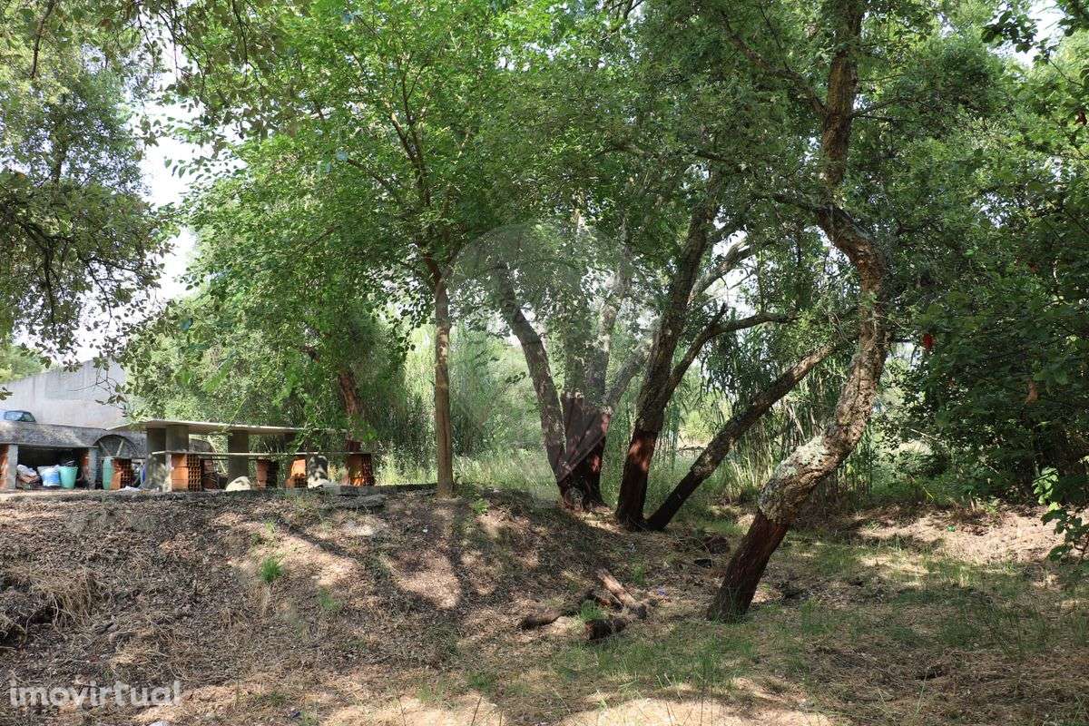 Terreno  para venda - Grande imagem: 4/48