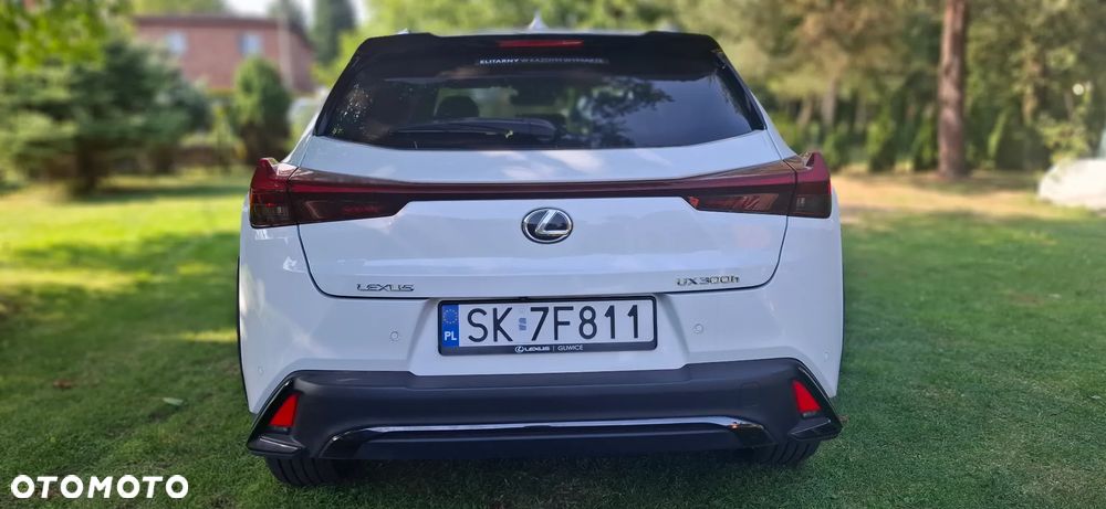 Lexus UX 200 GPF F Sport Design+ 2WD - 10