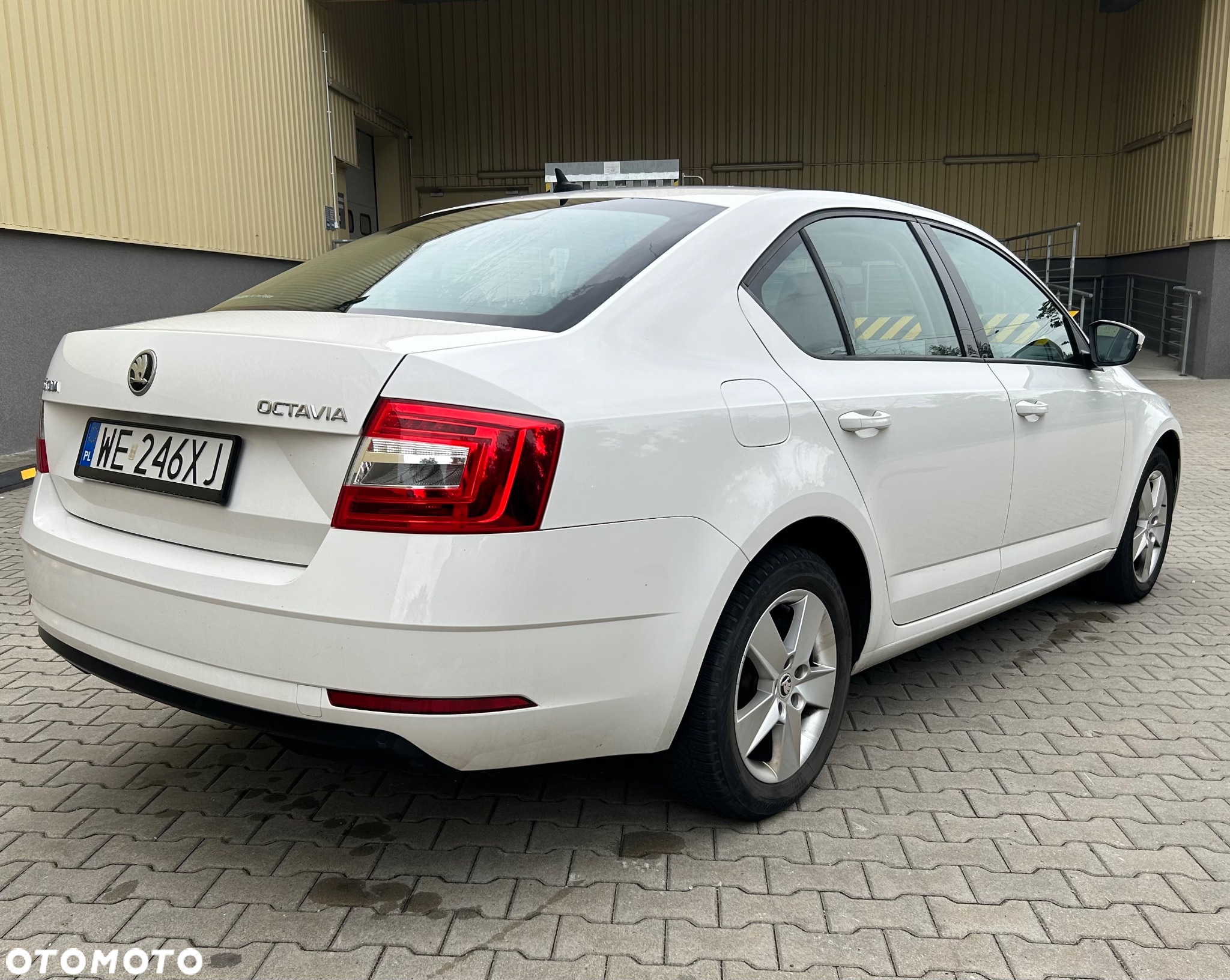 Skoda Octavia 1.6 TDI Ambition - 7