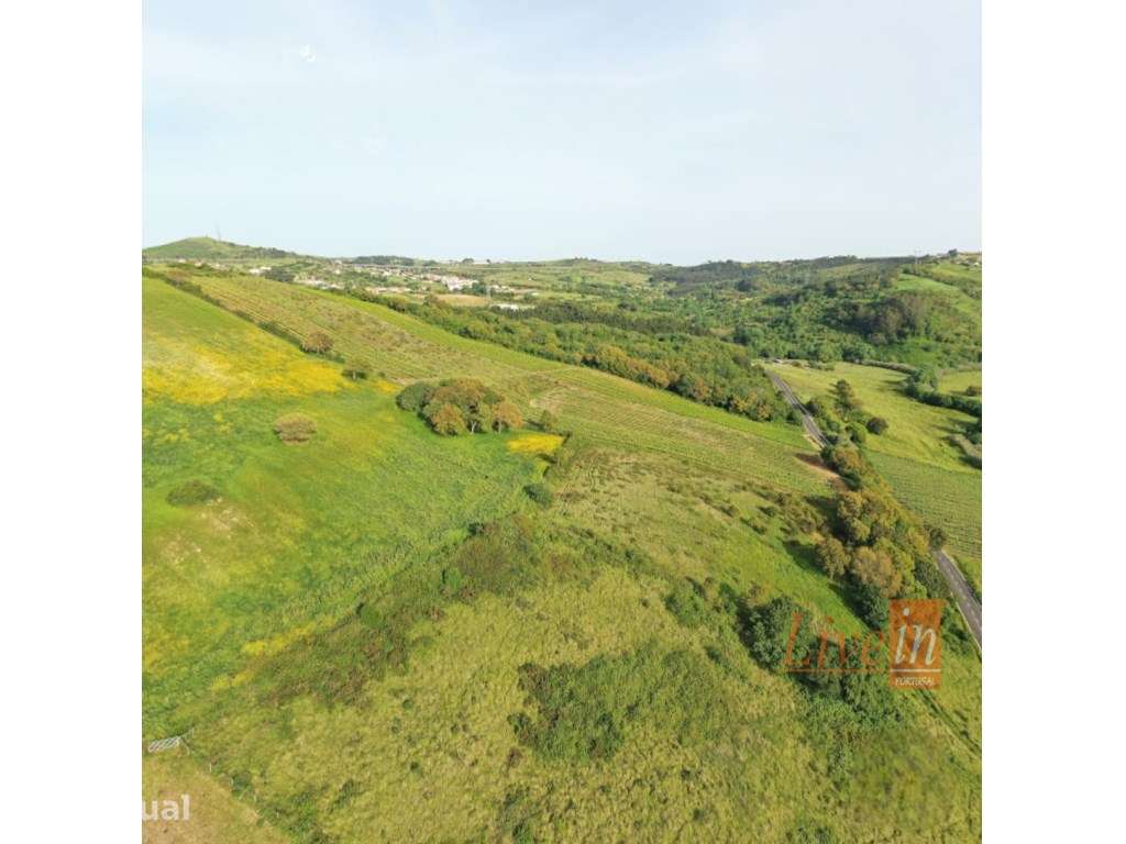 Terreno à Venda em Enxara do Bispo - Grande imagem: 2/17