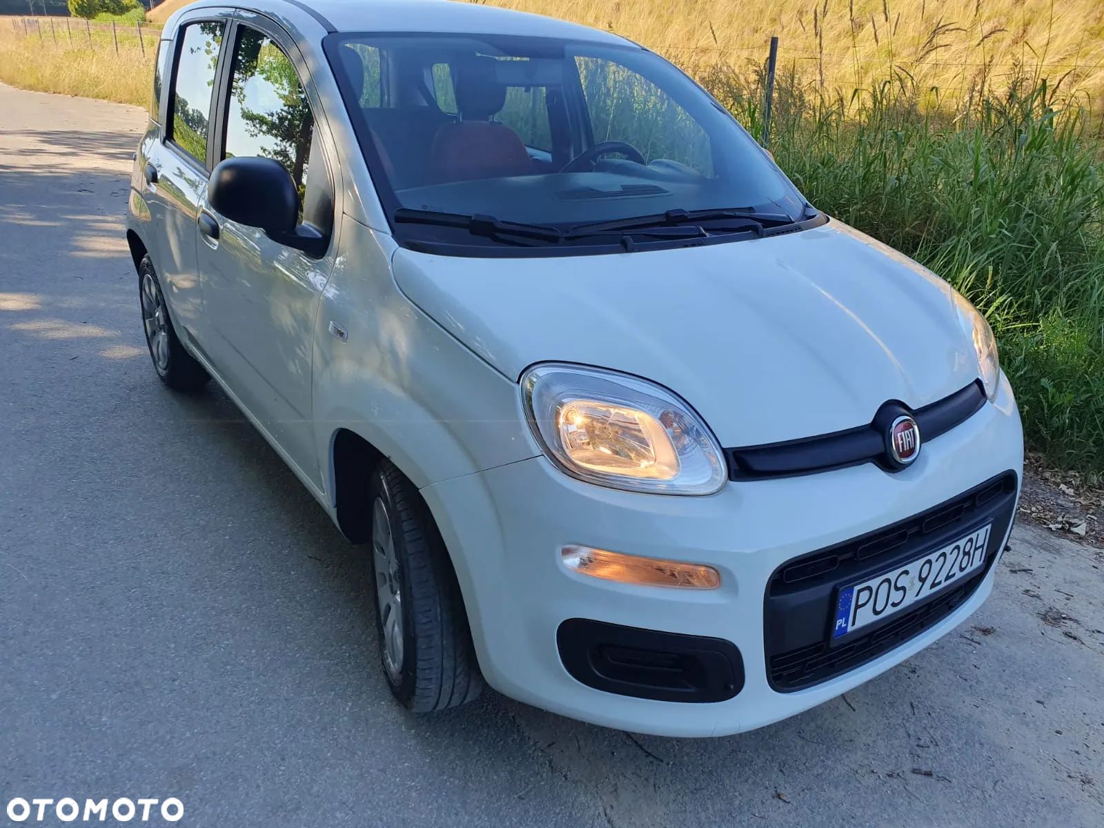 Fiat Panda 1.2 - 1