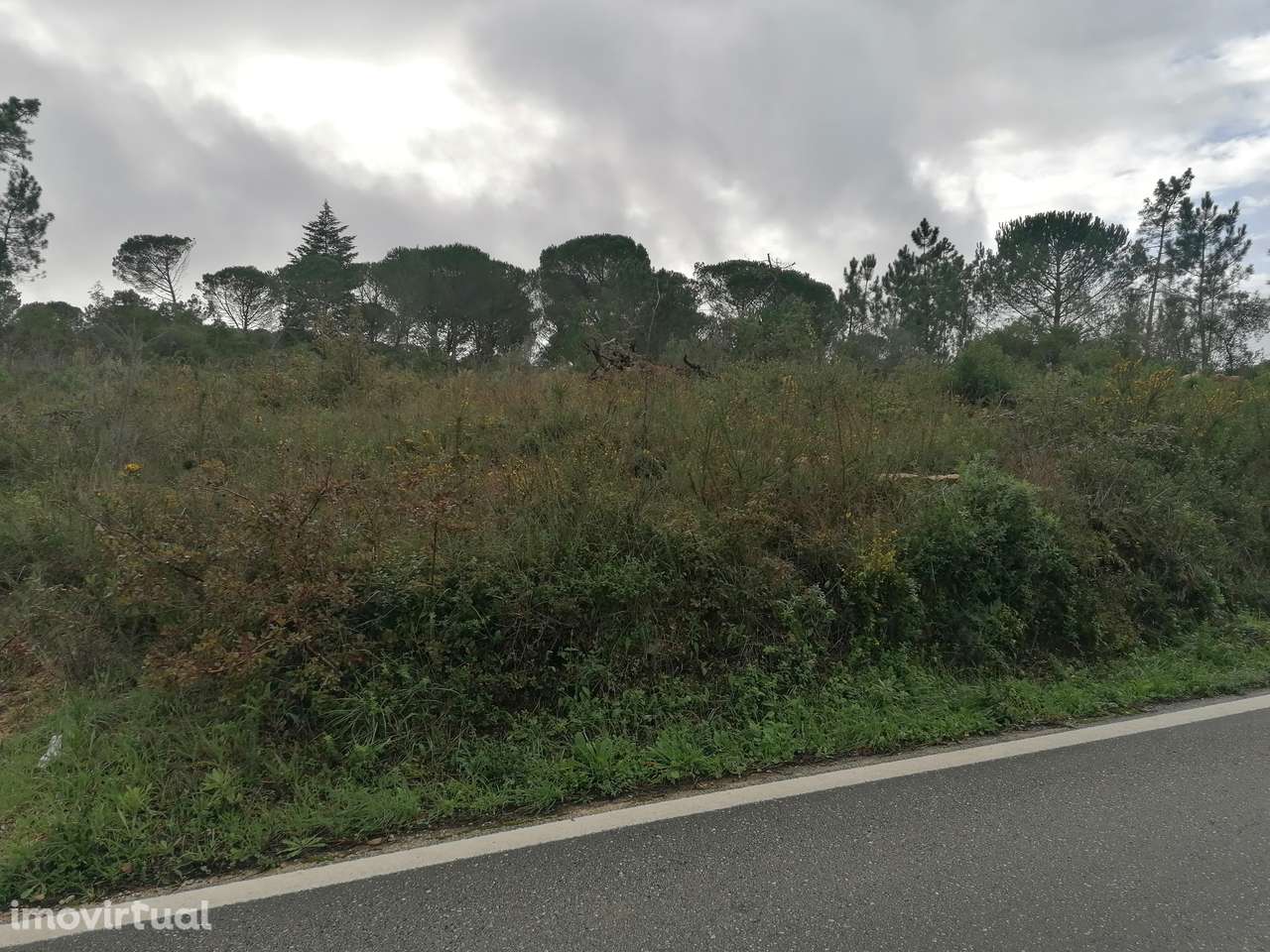 Terreno Rústico em Cernache - Grande imagem: 3/4