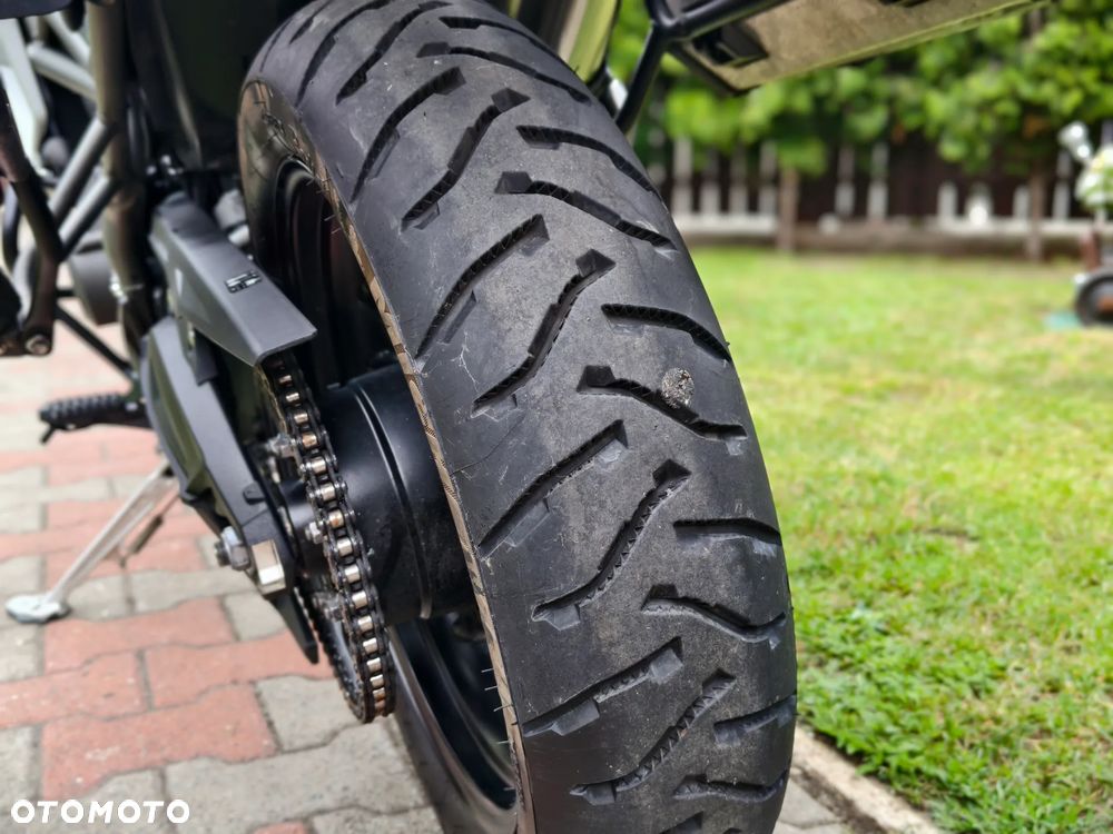 Triumph Tiger - 30