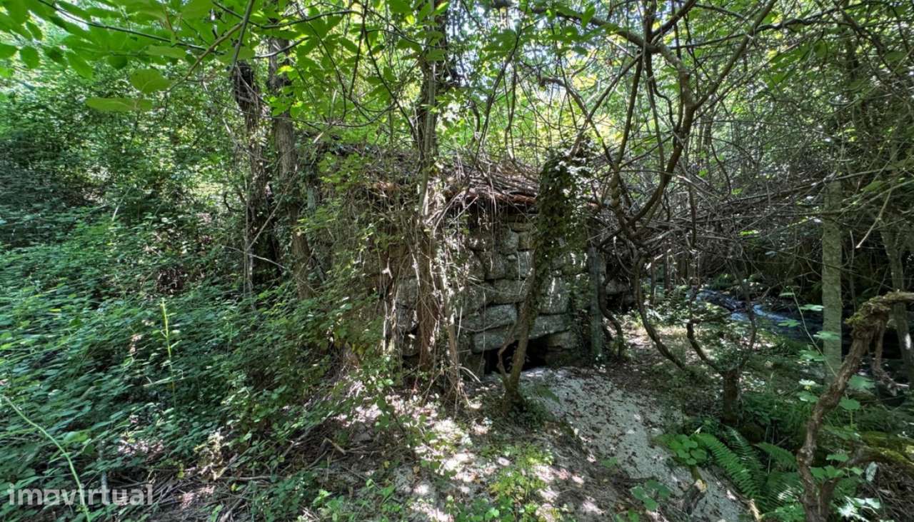 Venda Terreno, Campelo e Ovil, Baião - Grande imagem: 5/30