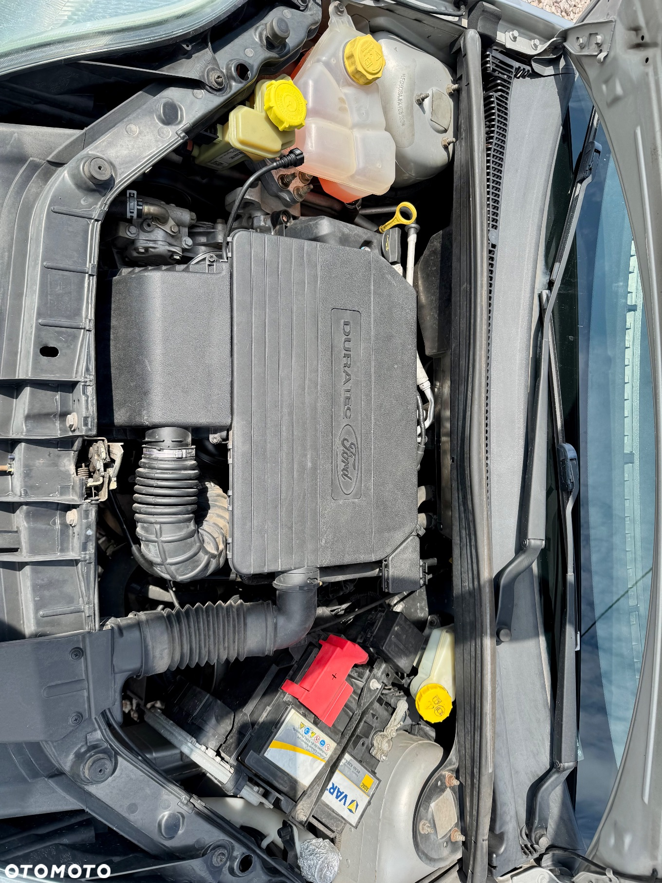 Ford Fiesta - 15