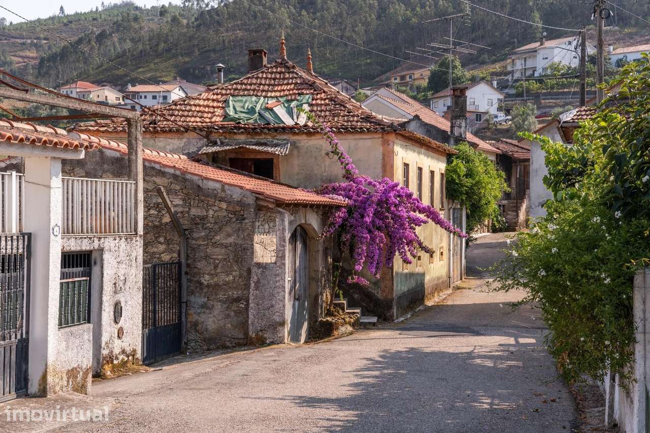 Quinta Tradicional T3 com terreno 1653m2, anexos, poço e espigueiro em - Grande imagem: 3/31