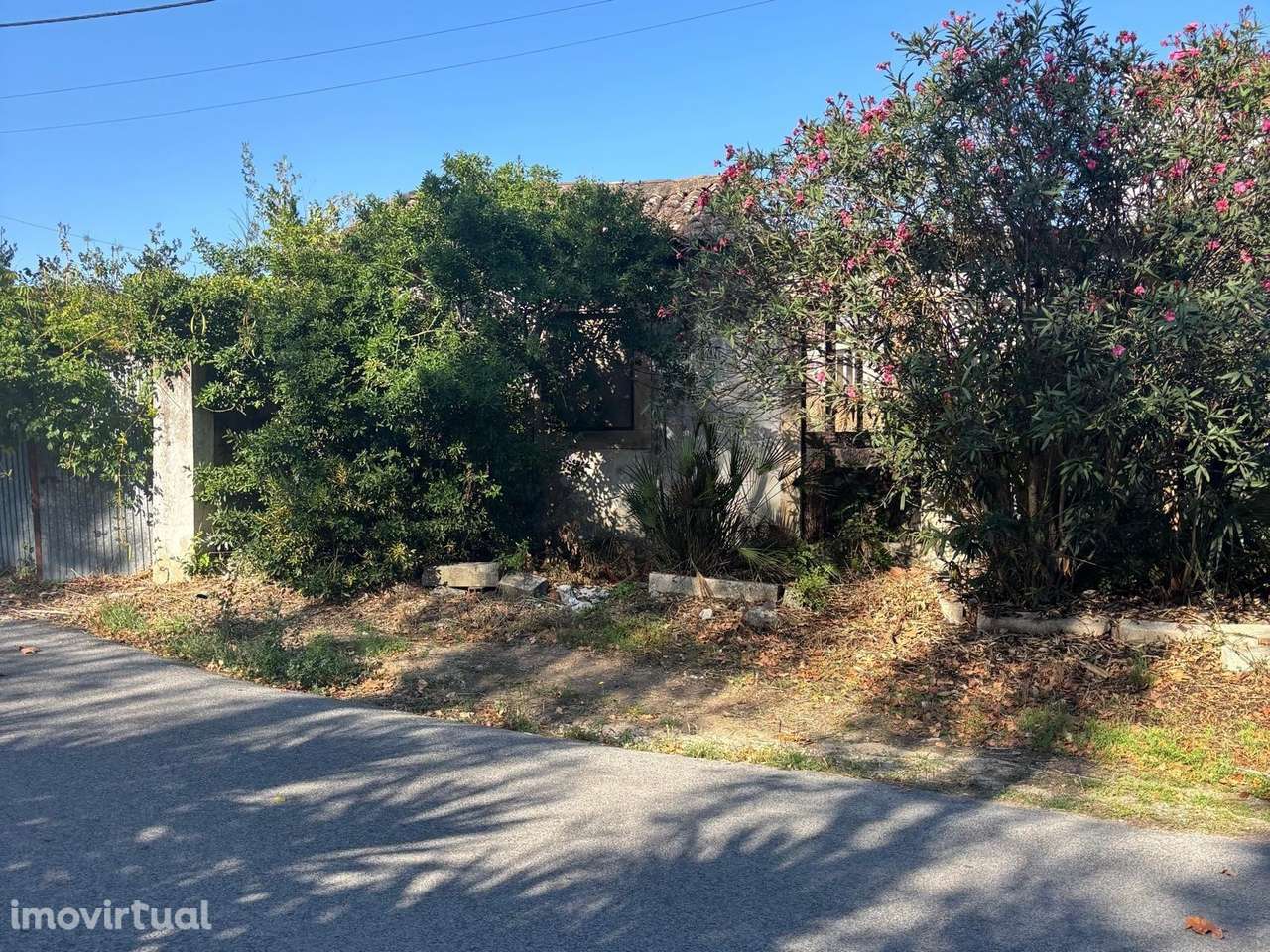 Ruína com potencial de reabilitação em Arrouquelas – Rio Maior - Grande imagem: 4/28