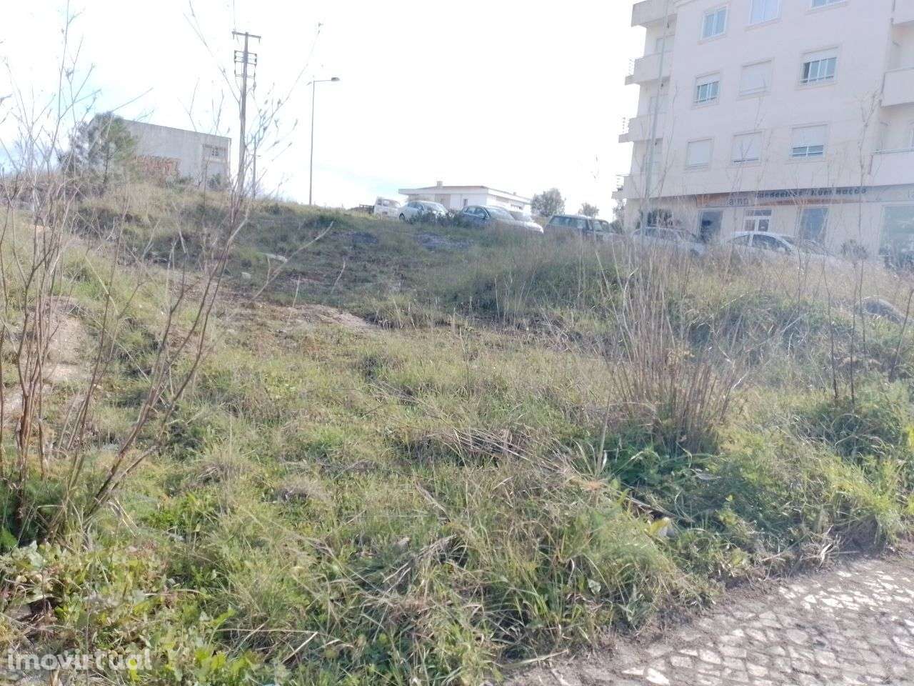 Excelente oportunidade Lote para construção em Alcanena - Grande imagem: 2/5