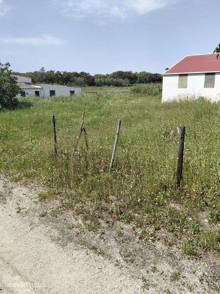 Armazém arrendamento - Grande imagem: 3/8