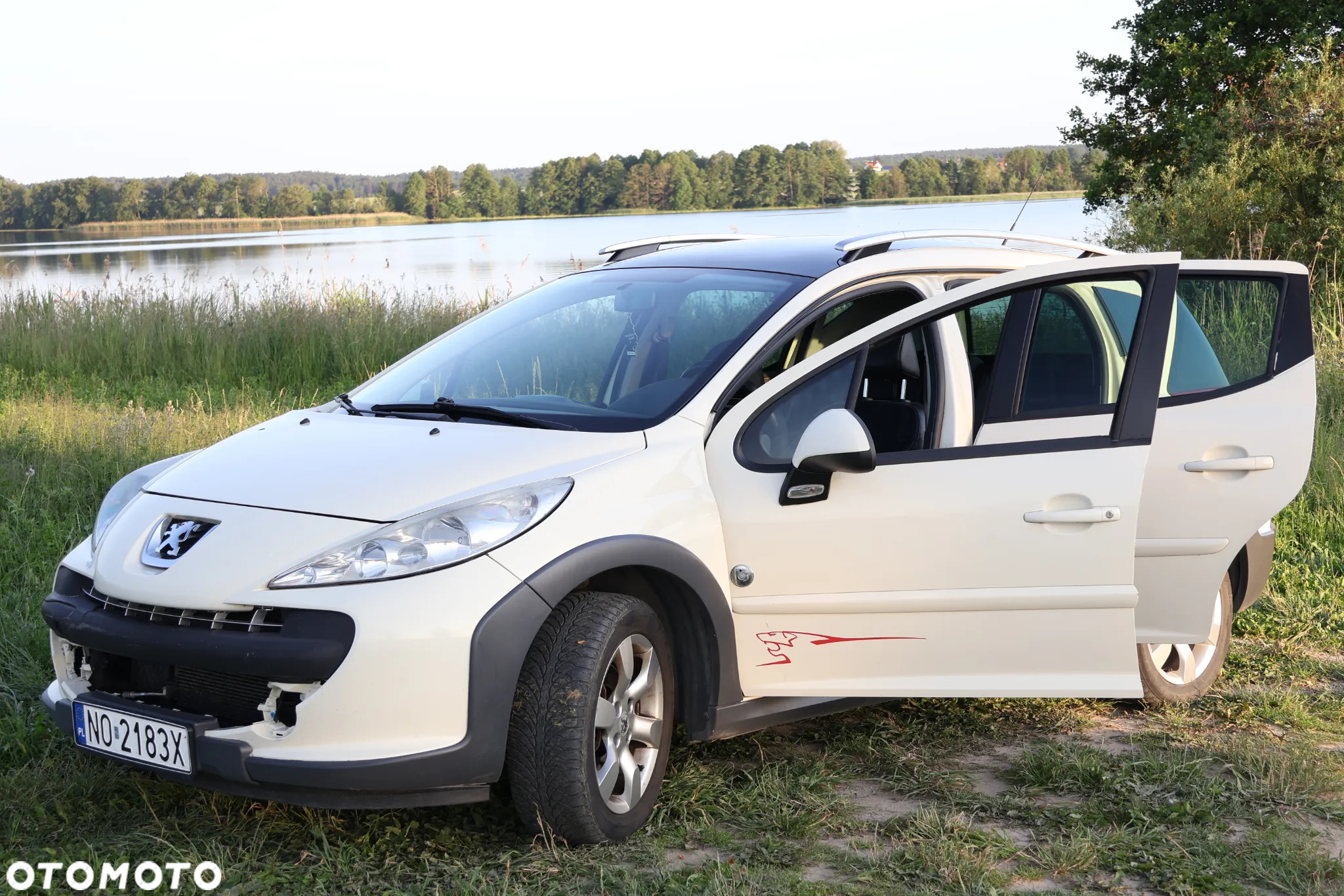 Peugeot 207 Outdoor 1.6 HDi - 39