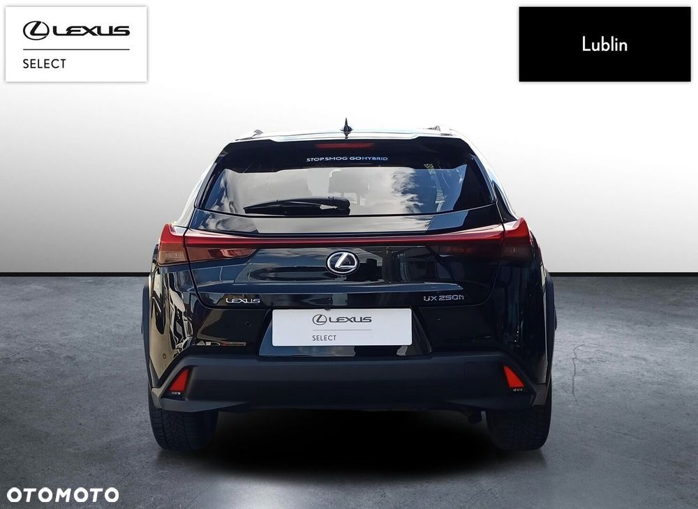 Lexus UX 250h GPF Business Edition 2WD - 4