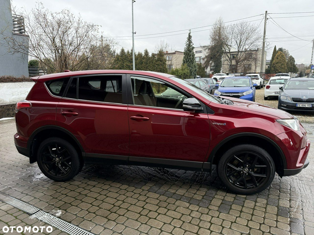 Toyota RAV4 2.5 4x2 Hybrid Edition - 5