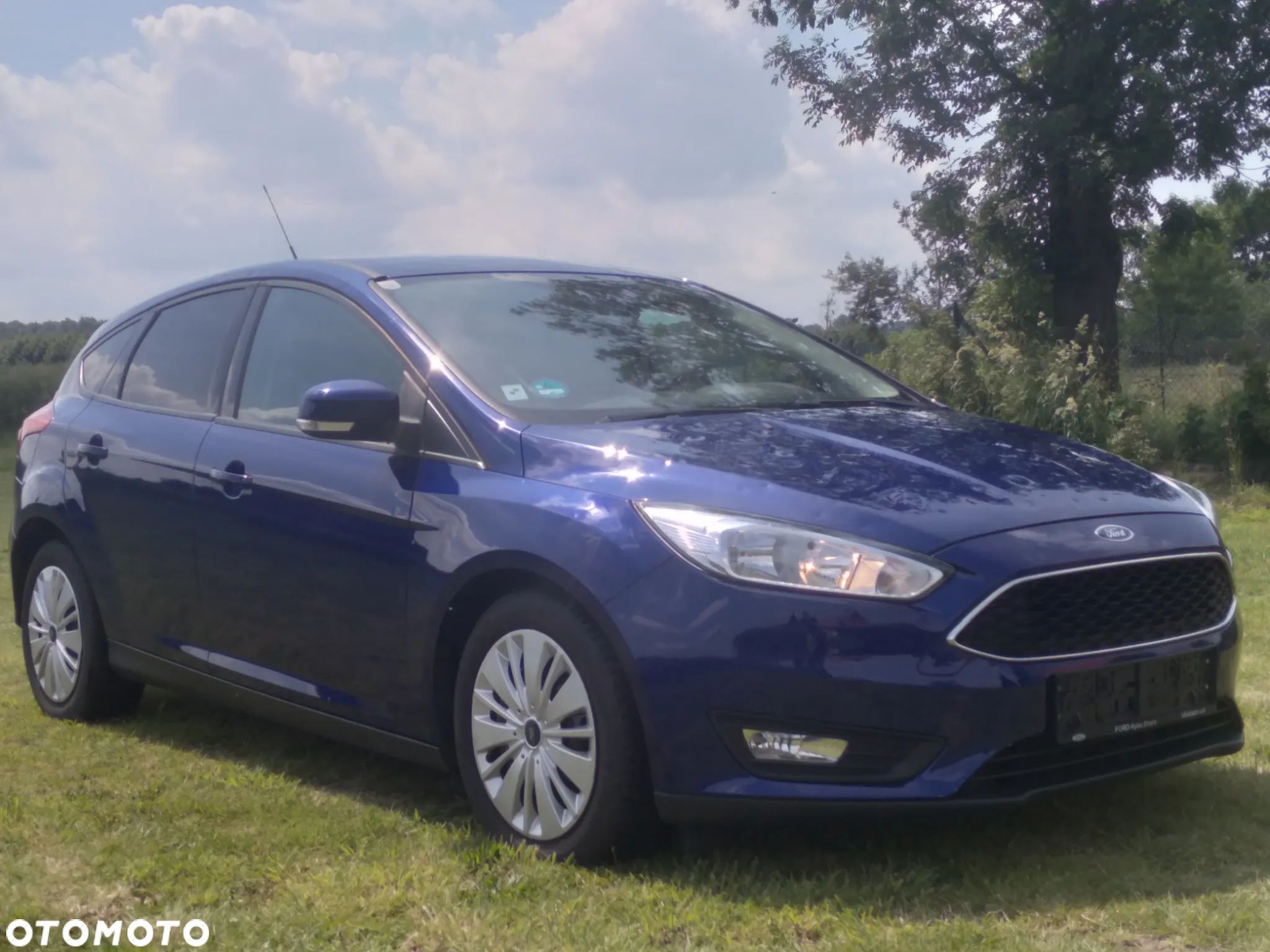 Ford Focus - 1