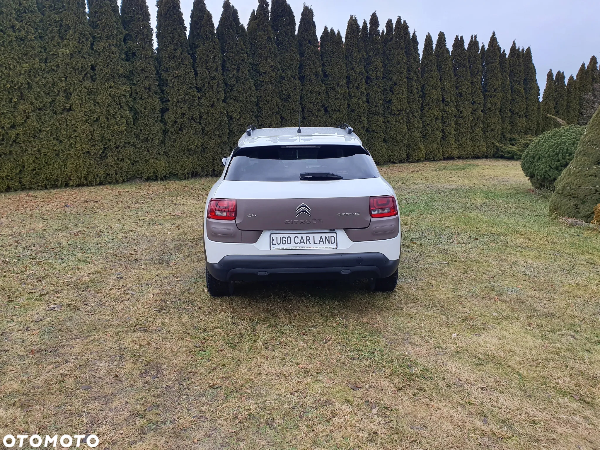Citroën C4 Cactus 1.2 PureTech Shine S&S - 6