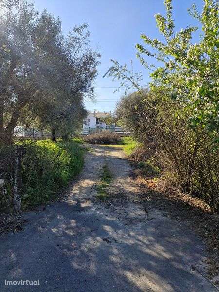 Terreno à venda em Alcaria - Grande imagem: 3/9