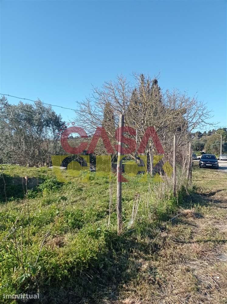 Lote de Terreno T4 Venda em Torres Novas (Santa Maria, Salvador e Sant - Grande imagem: 2/13