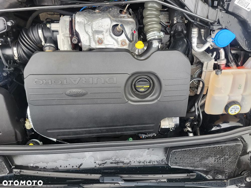 Ford Focus - 21