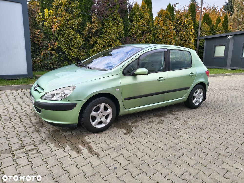 Peugeot 307 - 21