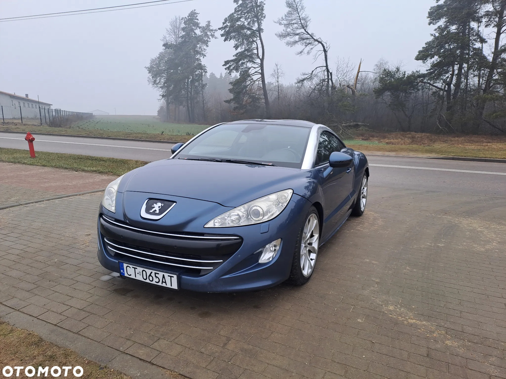 Peugeot RCZ 1.6 THP - 13