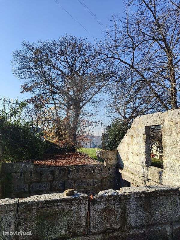 Quinta T8 para venda - Grande imagem: 5/20