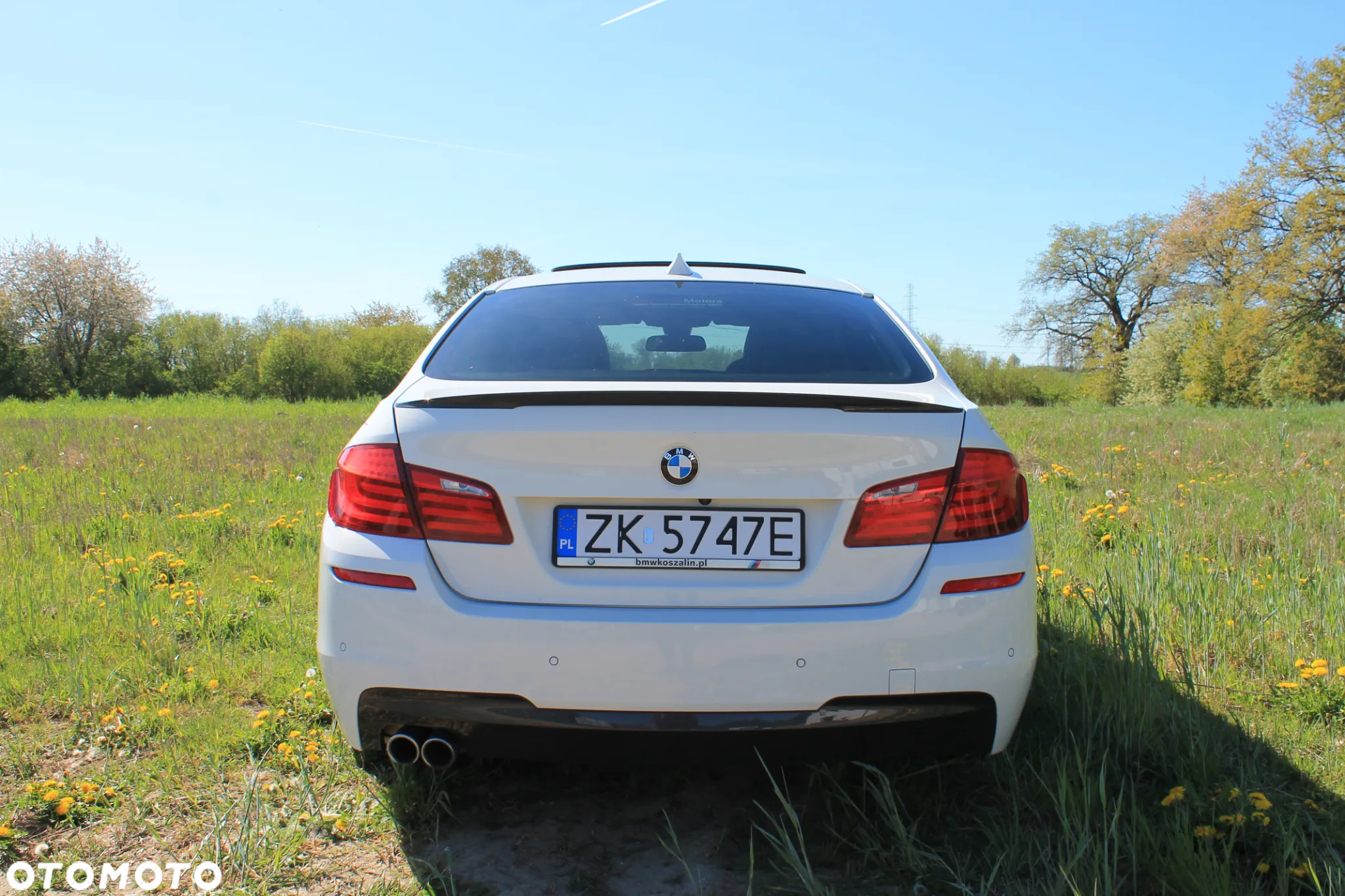 BMW Seria 5 530d xDrive - 13