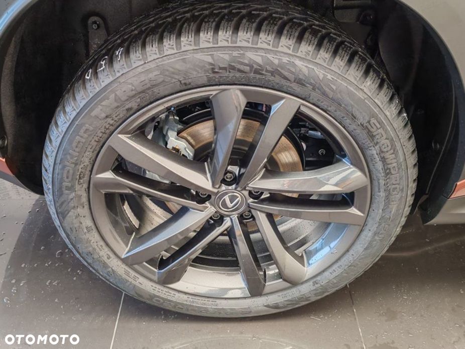 Lexus NX - 19