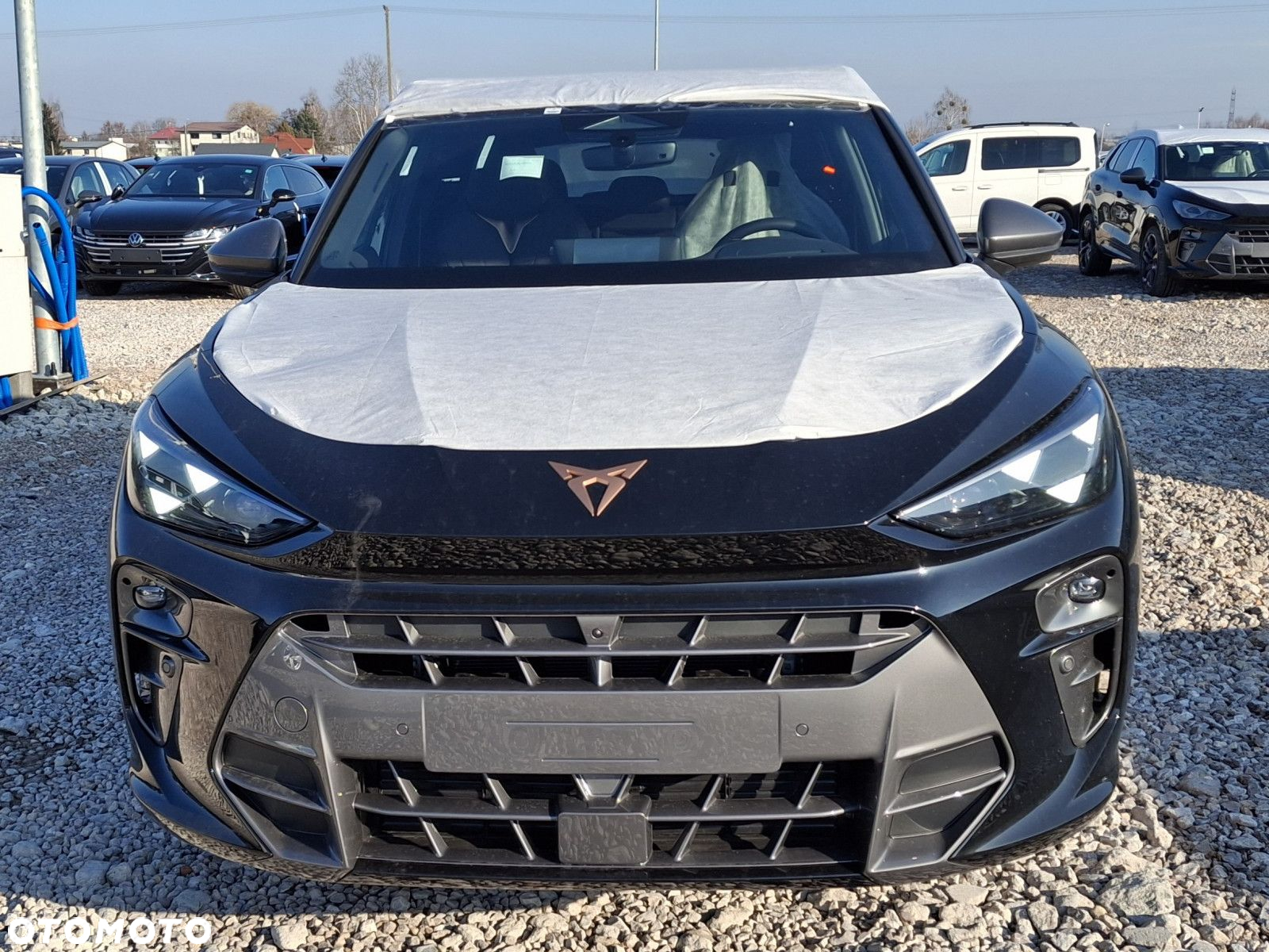 Cupra Terramar - 3
