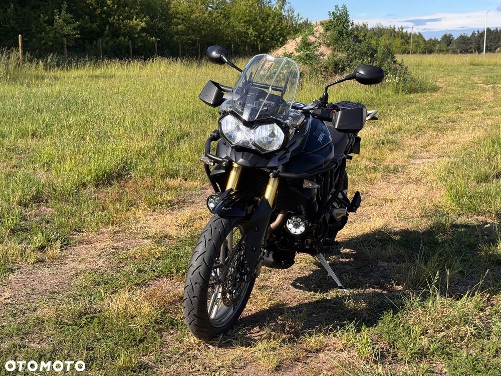 Triumph Tiger - 30