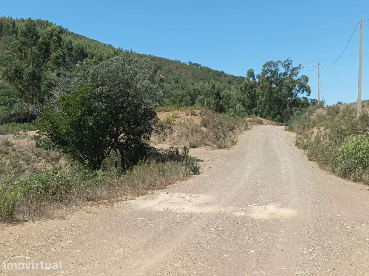 Terreno rustico de 11 hectares na zona de Santa Maria na Freguesia de - Grande imagem: 4/16
