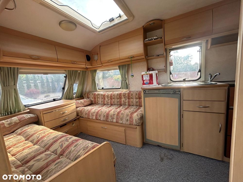 Coachman Amara - 10
