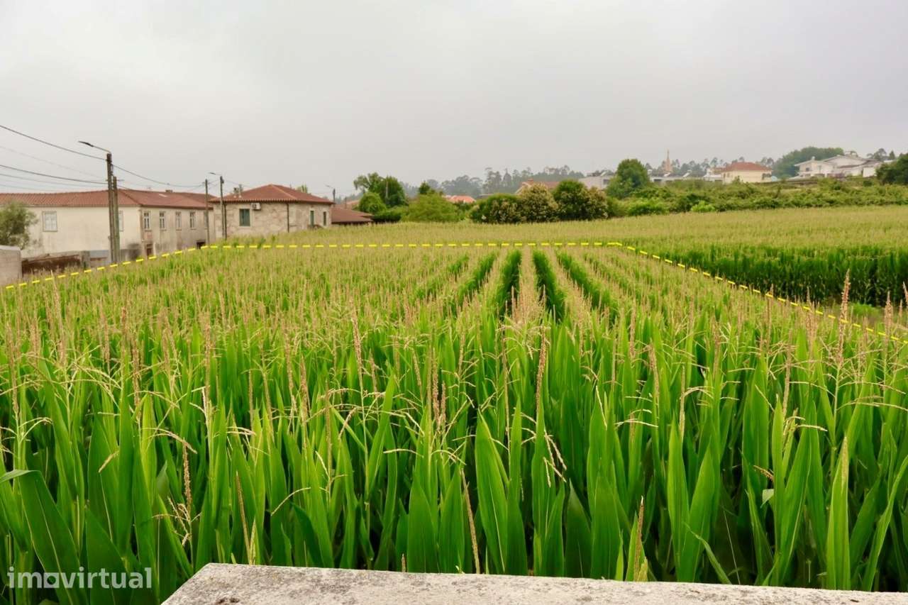 Terreno Urbano  Venda em Malta e Canidelo,Vila do Conde - Grande imagem: 4/7