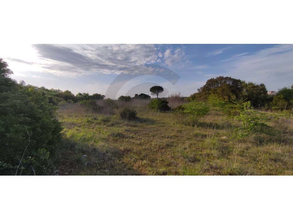 Terreno agrícola com viabilidade para projecto energético - Grande imagem: 3/10