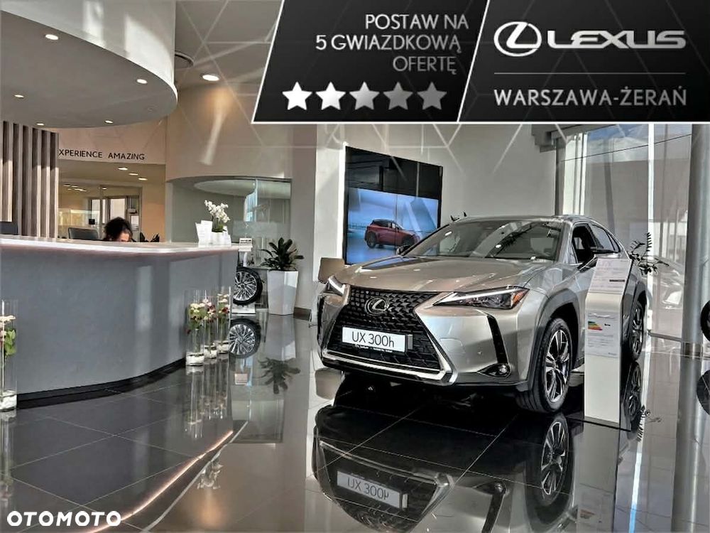 Lexus UX 300h Business - 2
