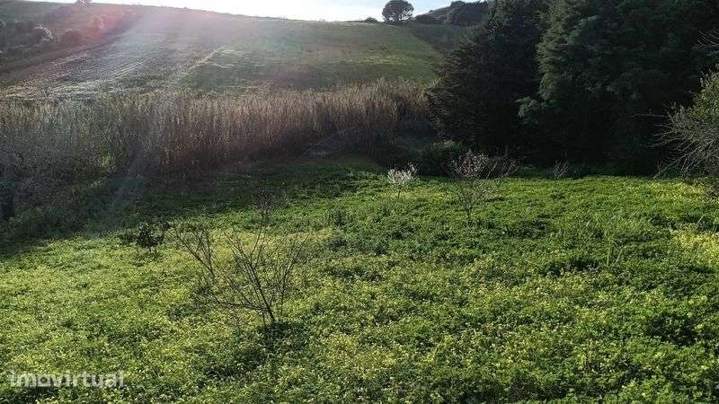 Terreno Não Construível - Casal de Barbas / Valinhos - 25000 Euros - Grande imagem: 4/12