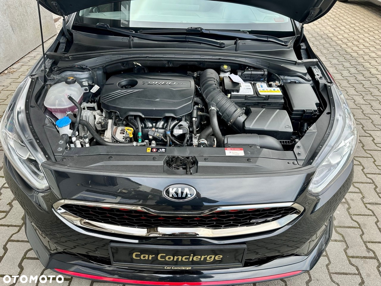 Kia ProCeed 1.6 T-GDI GT DCT - 28