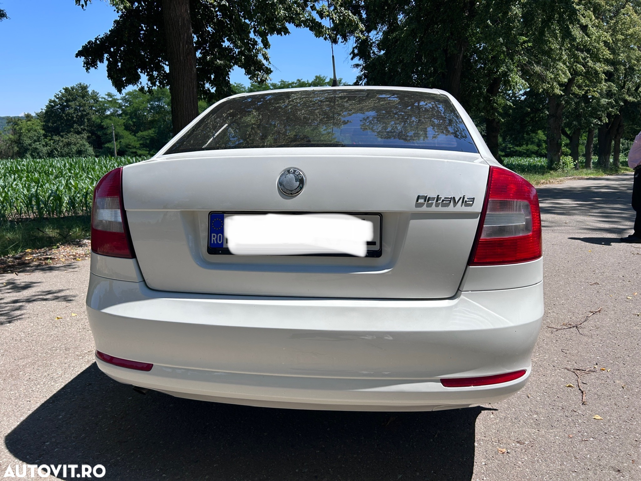 Skoda Octavia 1.4 MPI Ambiente - 5