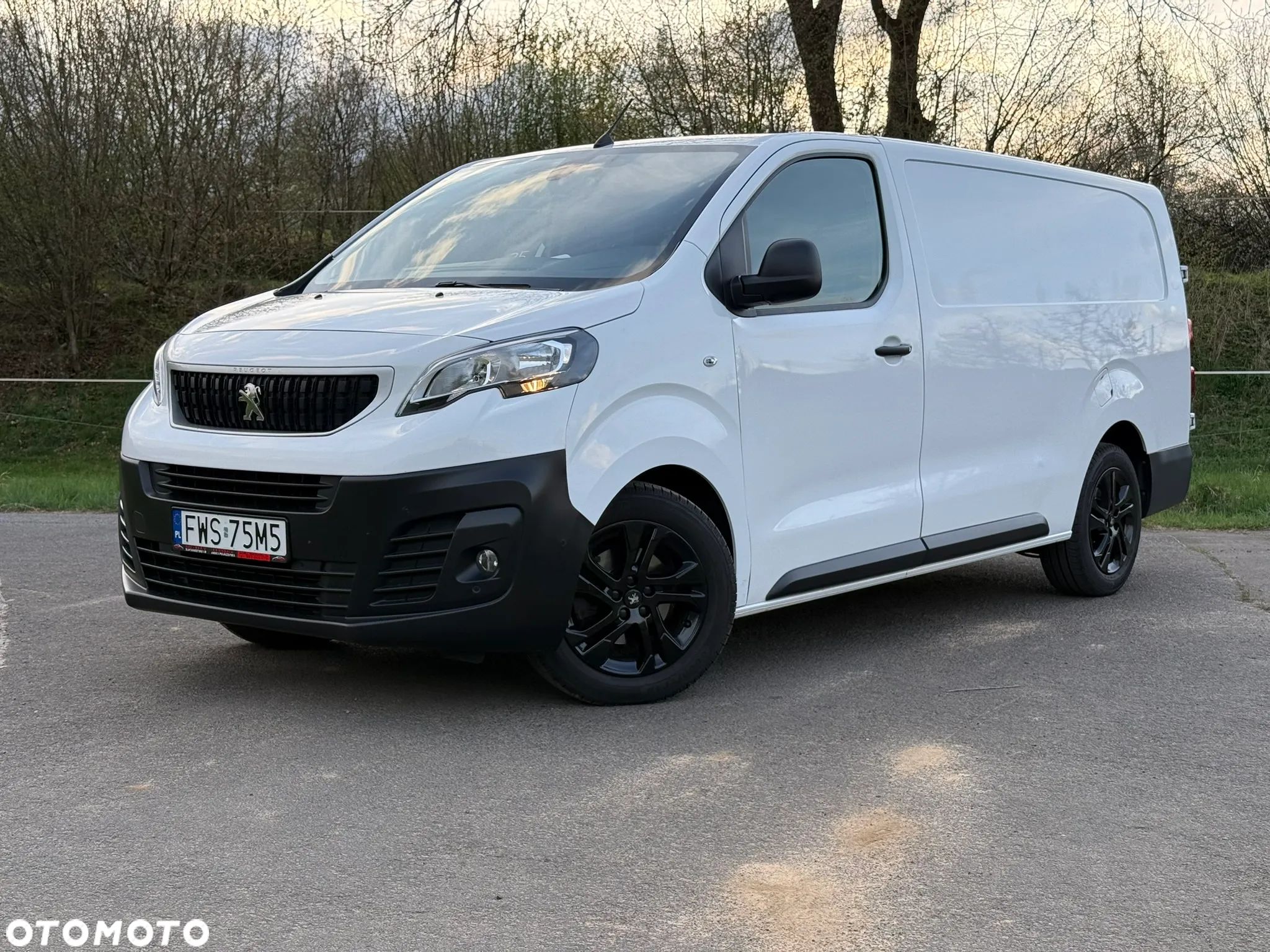 Peugeot Expert - 1