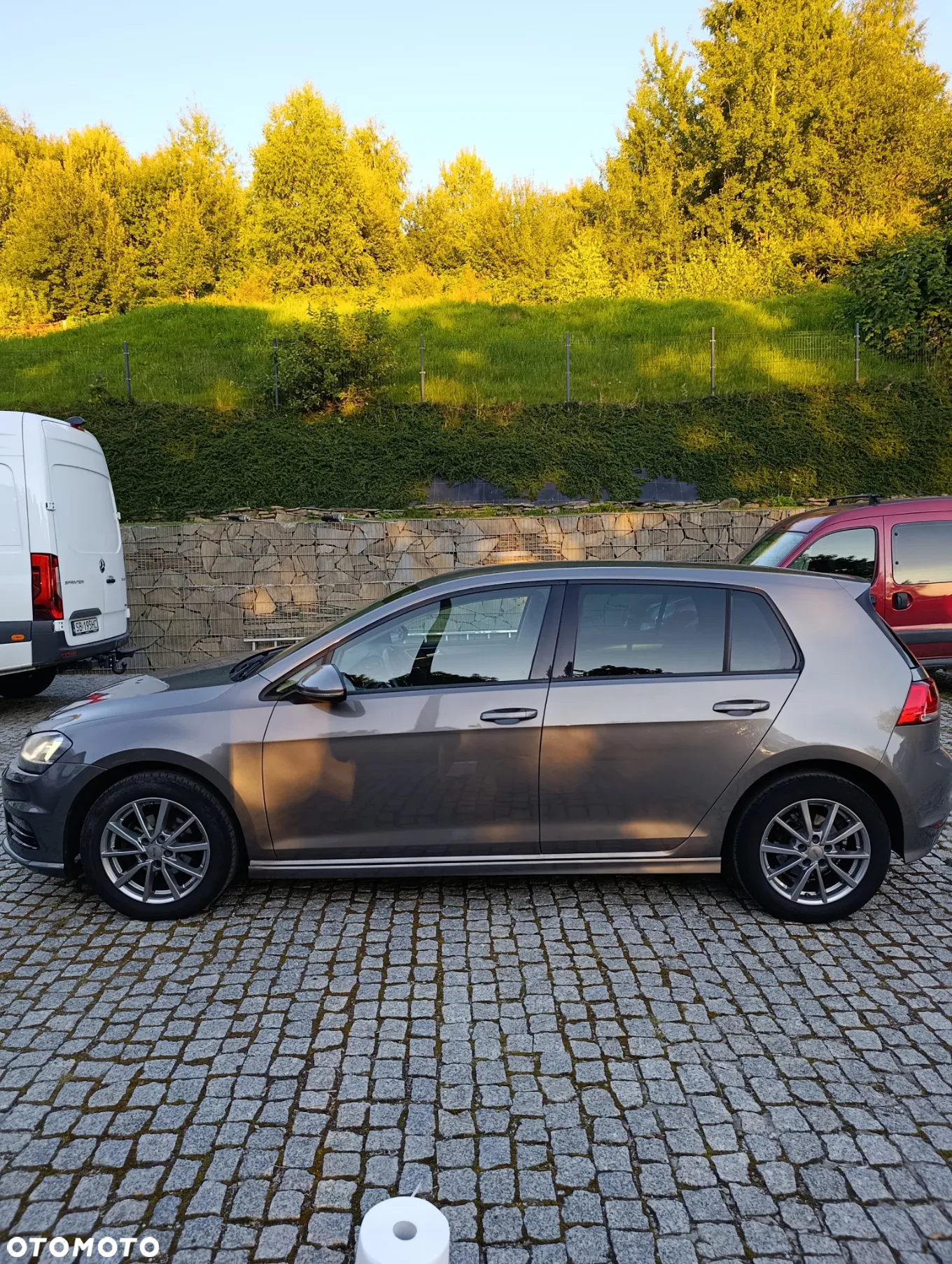 Volkswagen Golf - 8