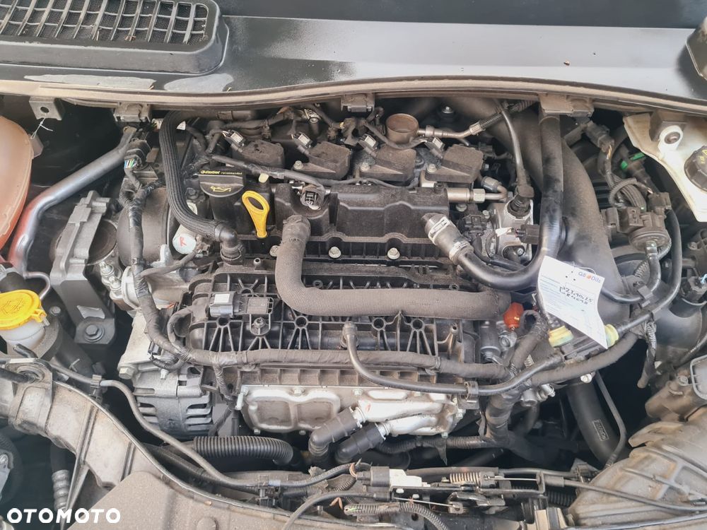 Ford Kuga 1.5 EcoBoost 2x4 Cool & Connect - 15
